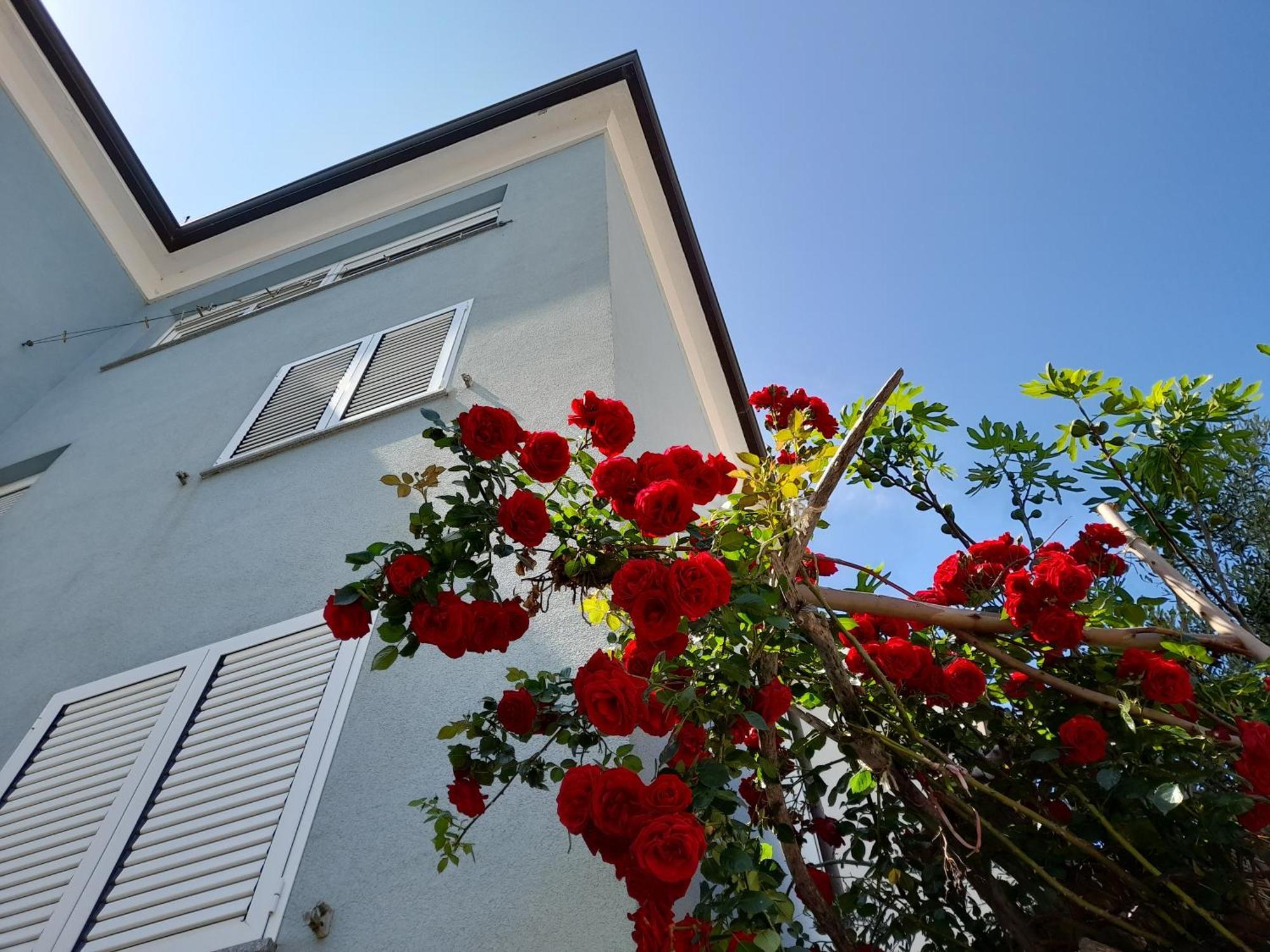 Lea Appartement Rovinj Buitenkant foto