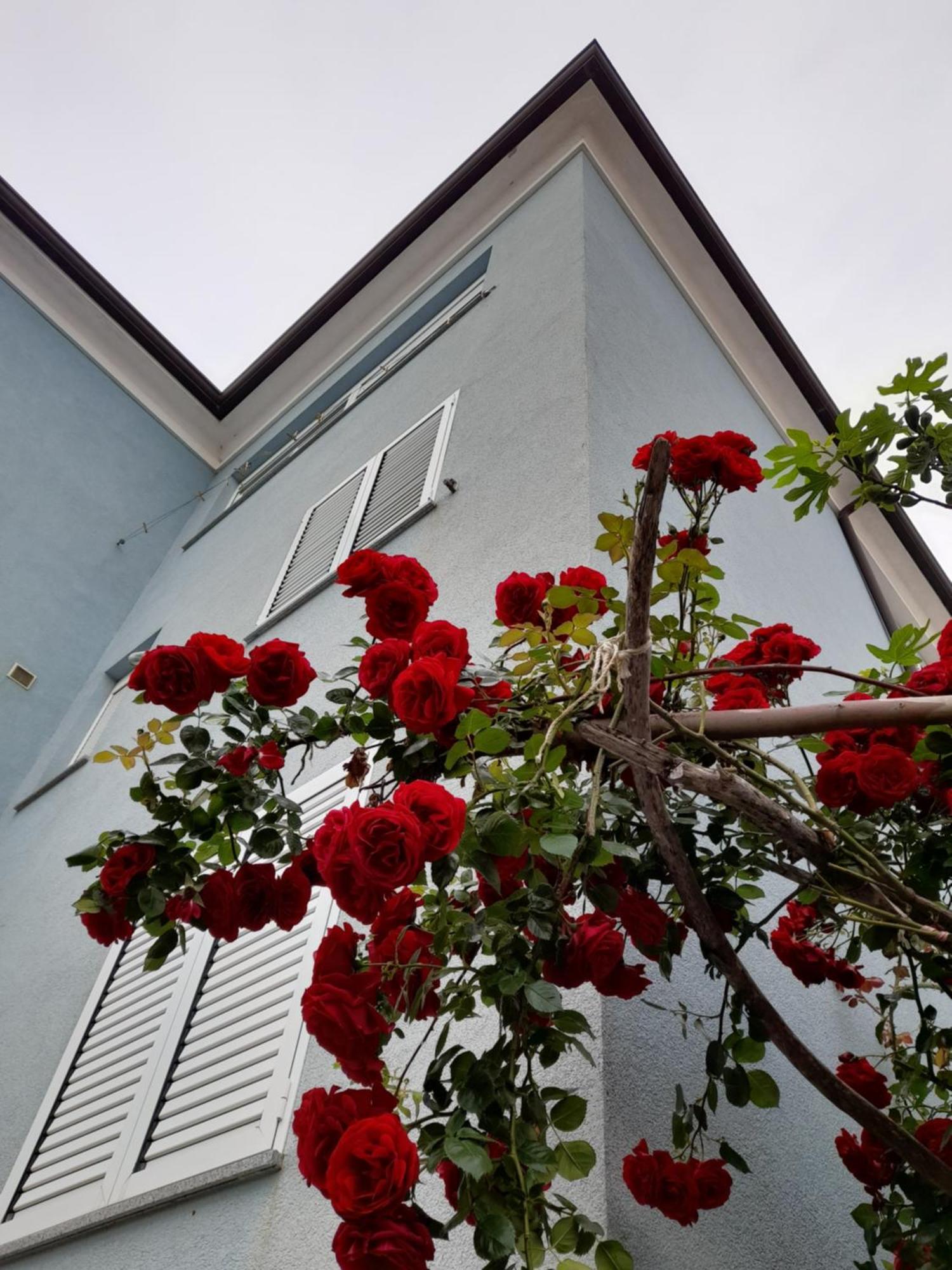 Lea Appartement Rovinj Buitenkant foto